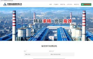 中国铝业集团有限公司