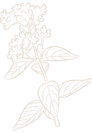 one flower image
