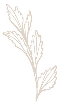 hero flower image