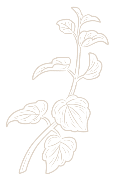 f6 flower image